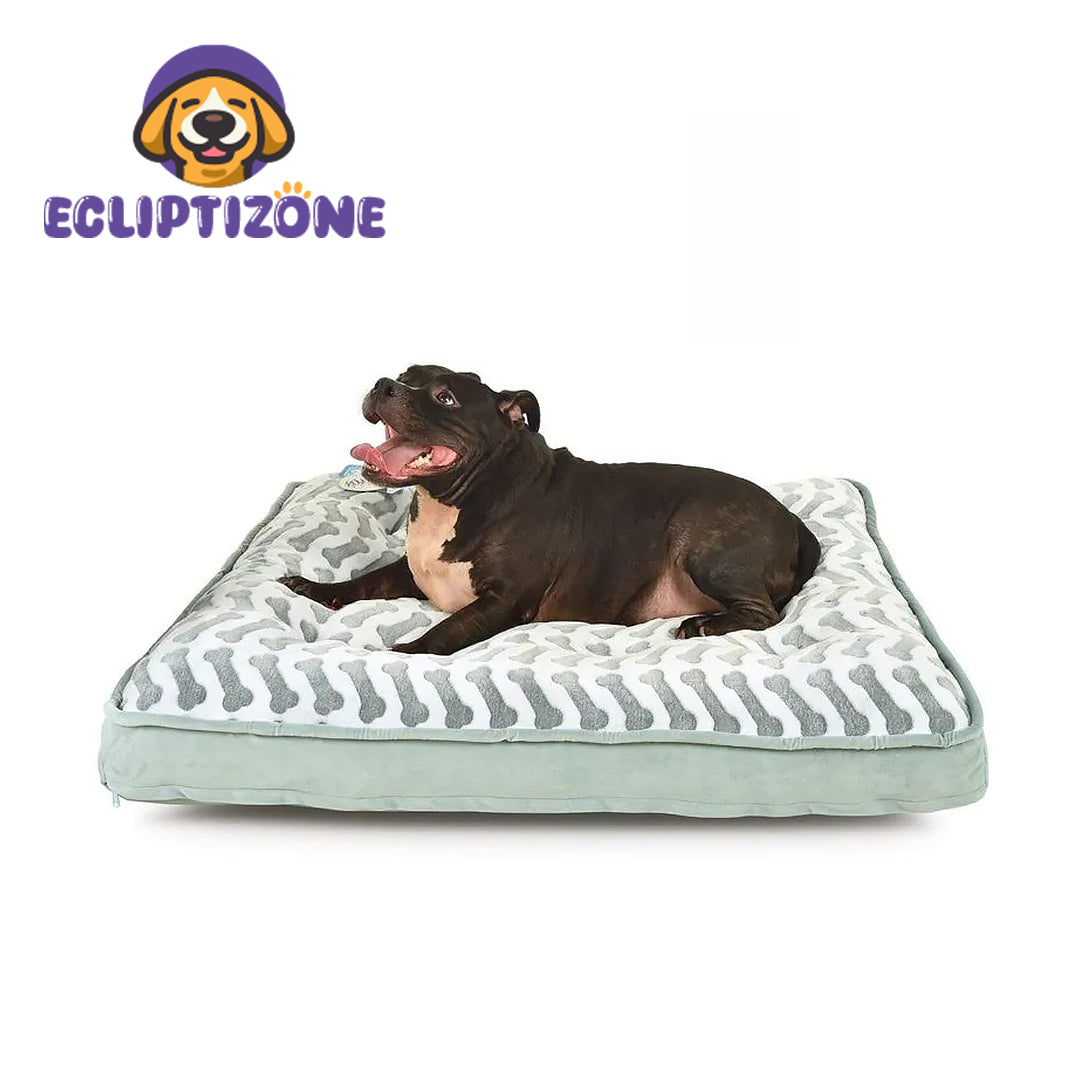 Queen-Size Waterproof Bella Orthopedic Mattress Bed