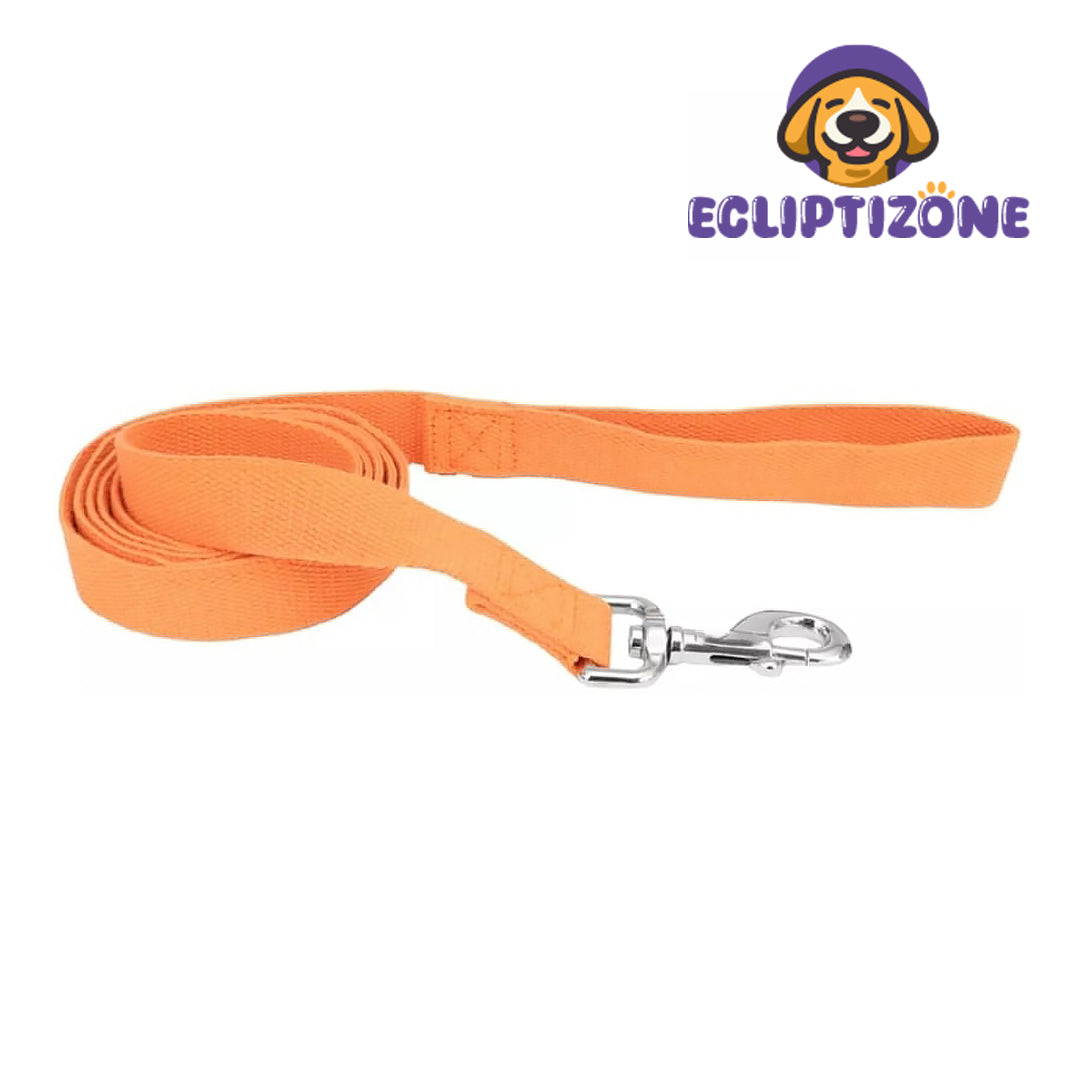 Dog Lead Pumpkin Orange - 6 feet x 5/8"W