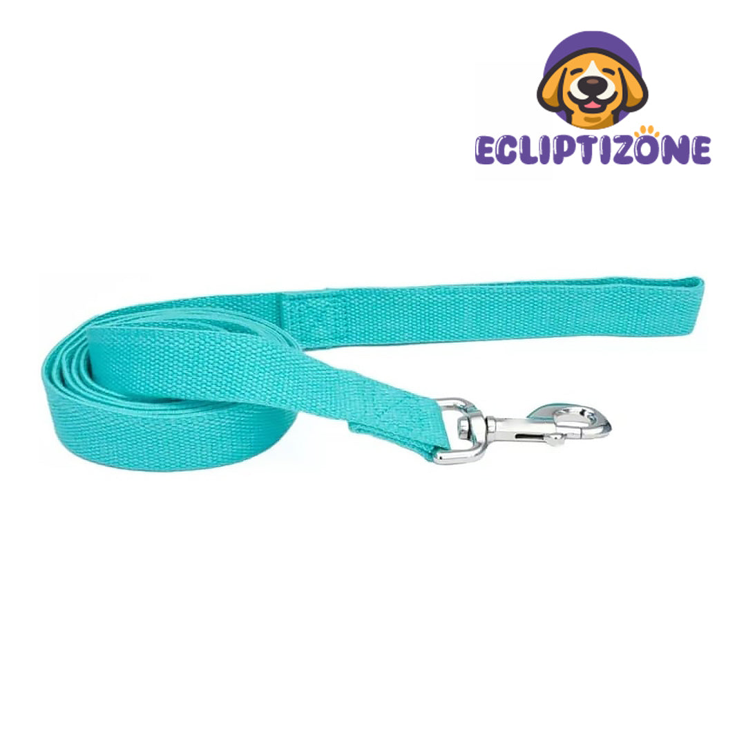 Dog Lead Mint Green - 6 feet x 5/8"W